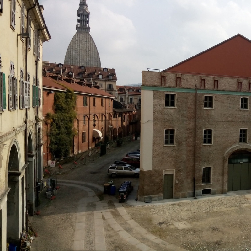 PUR di privatizzare la Cavallerizza Reale di Torino. Un referendum per bloccare la vendita
