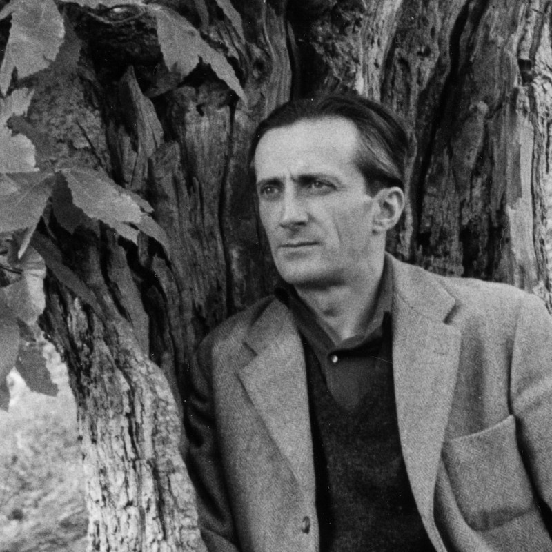 Un grido per la natura