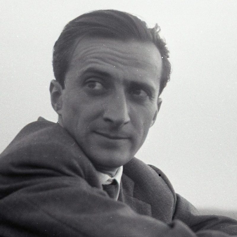 Mattone selvaggio