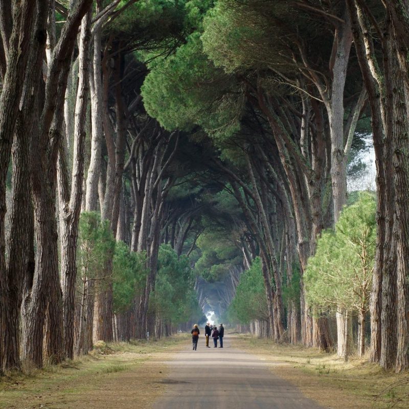 Il caso Coltano. Pisa mobilitata contro la nuova base militare nel parco di San Rossore
